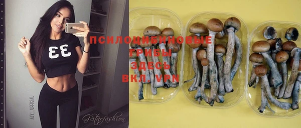 spice Балахна