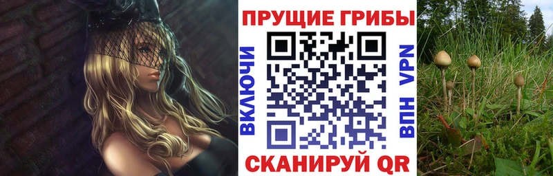 Псилоцибиновые грибы Magic Shrooms  omg tor  Черемхово 